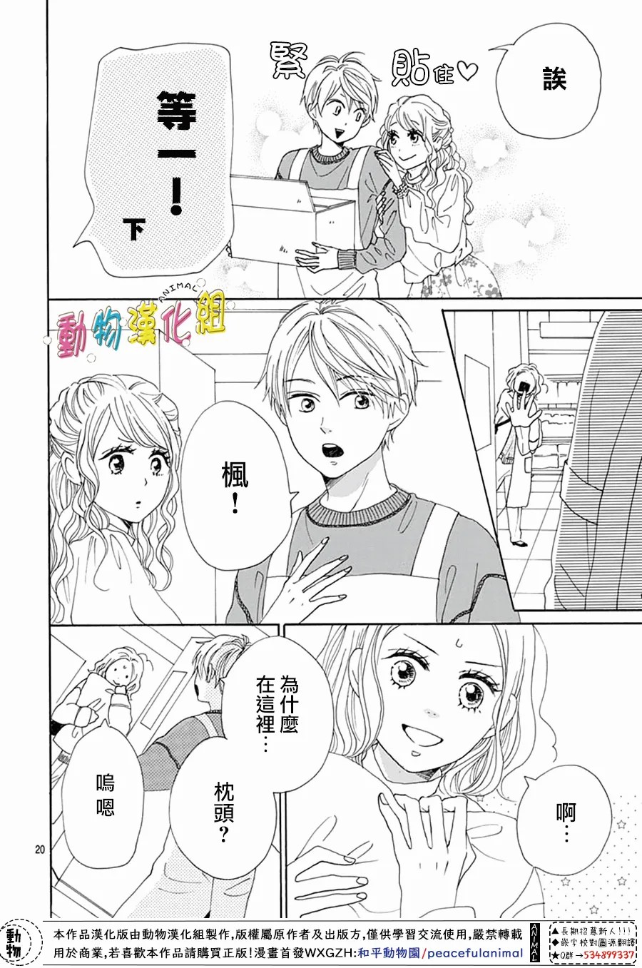第20页