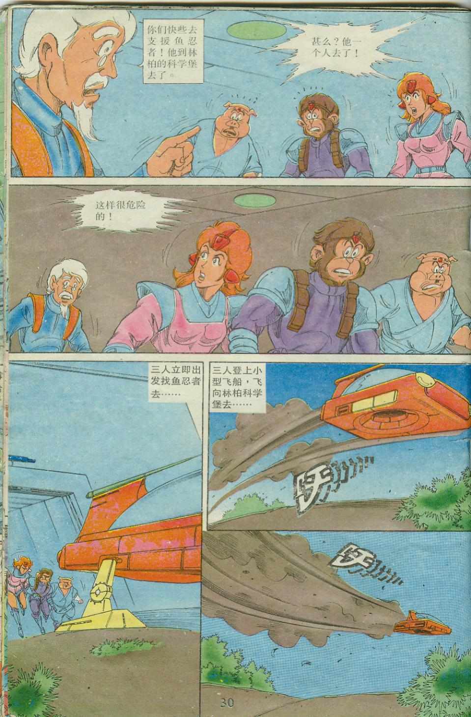 第30页