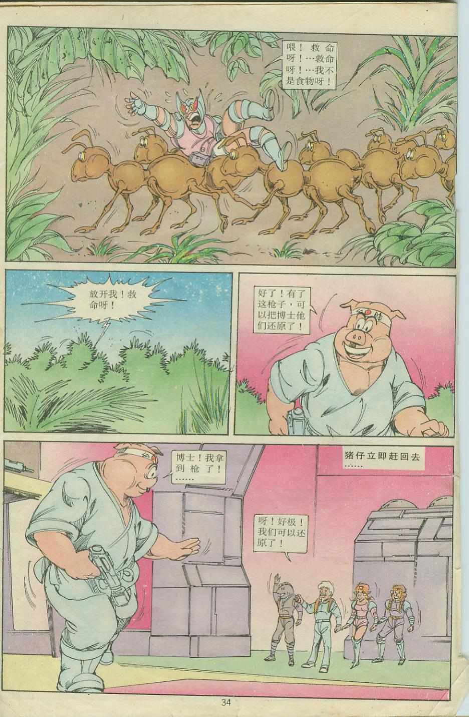 第34页