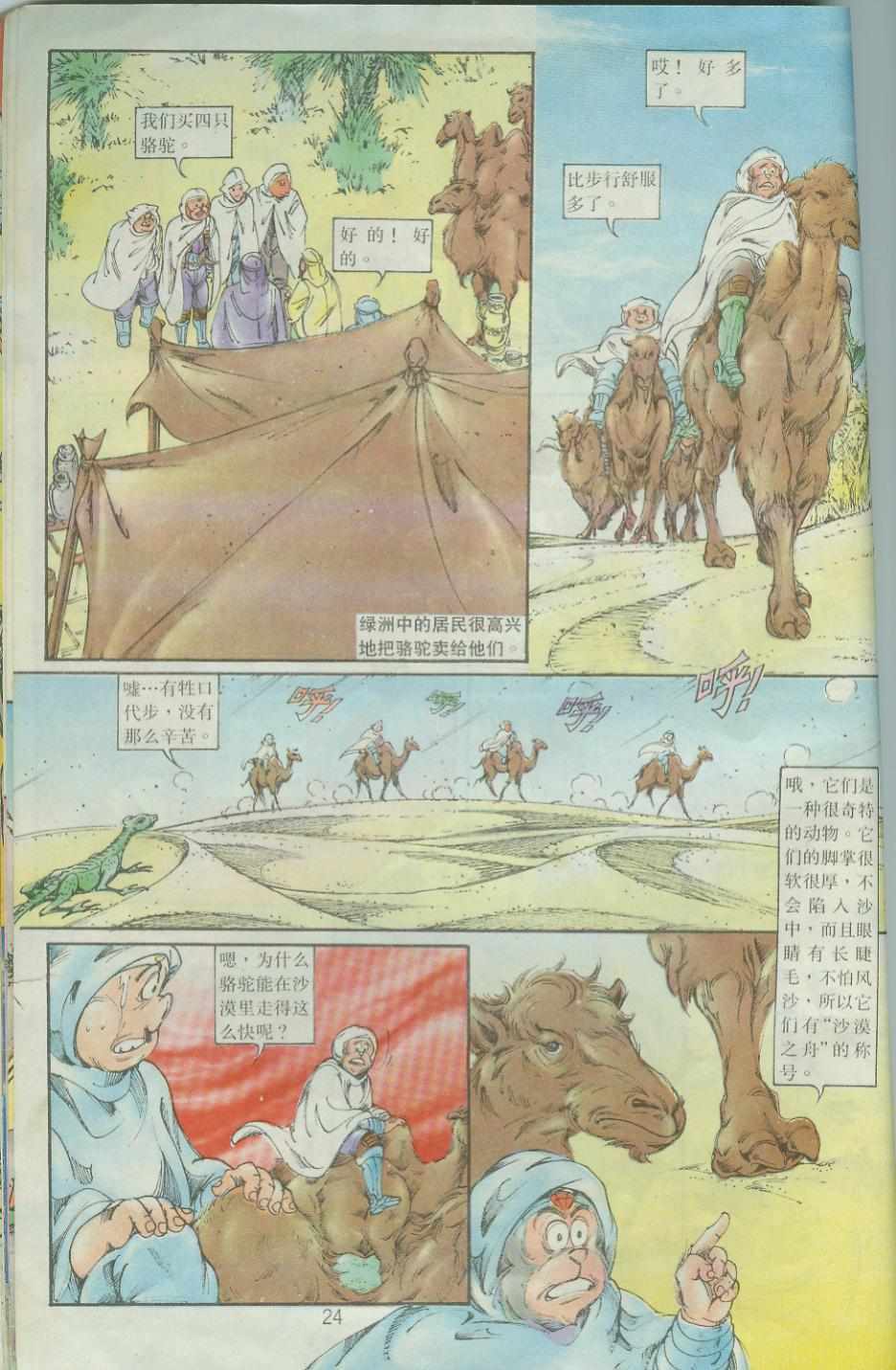 第24页