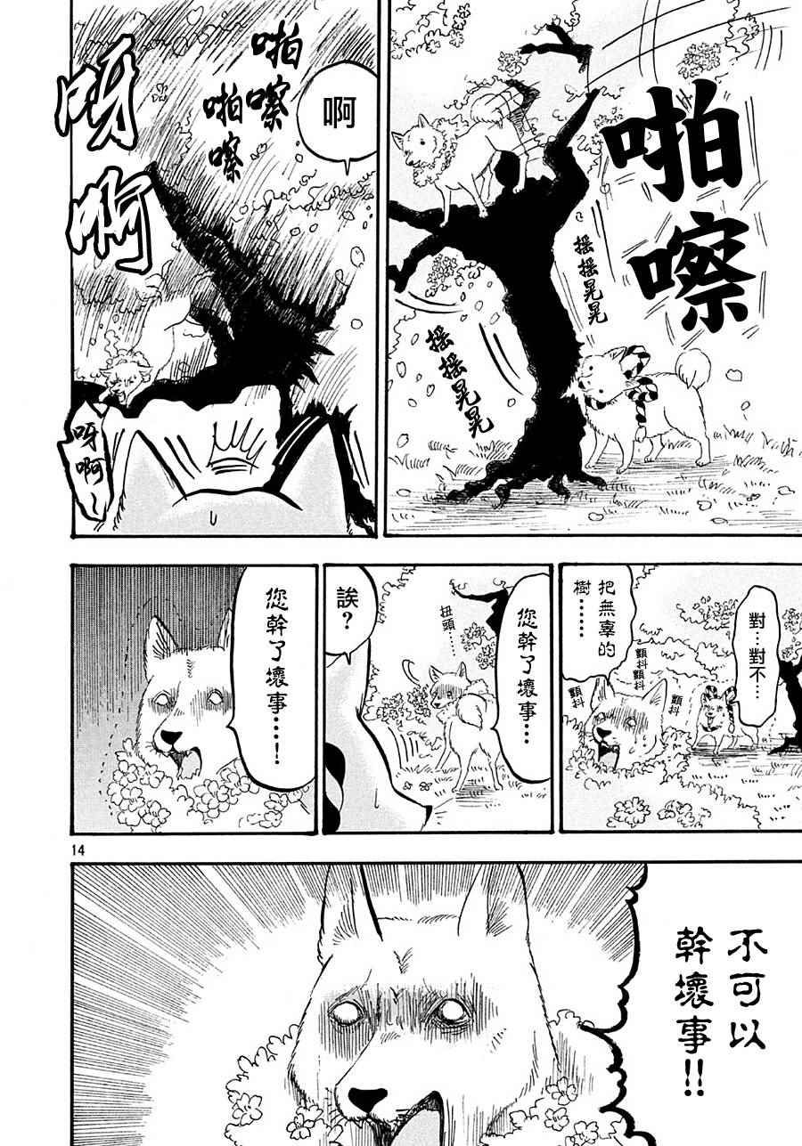第14页