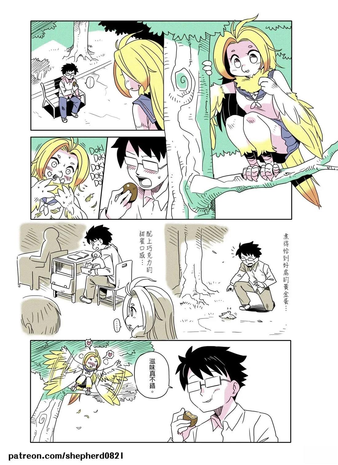 第3页
