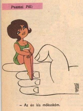 第240页