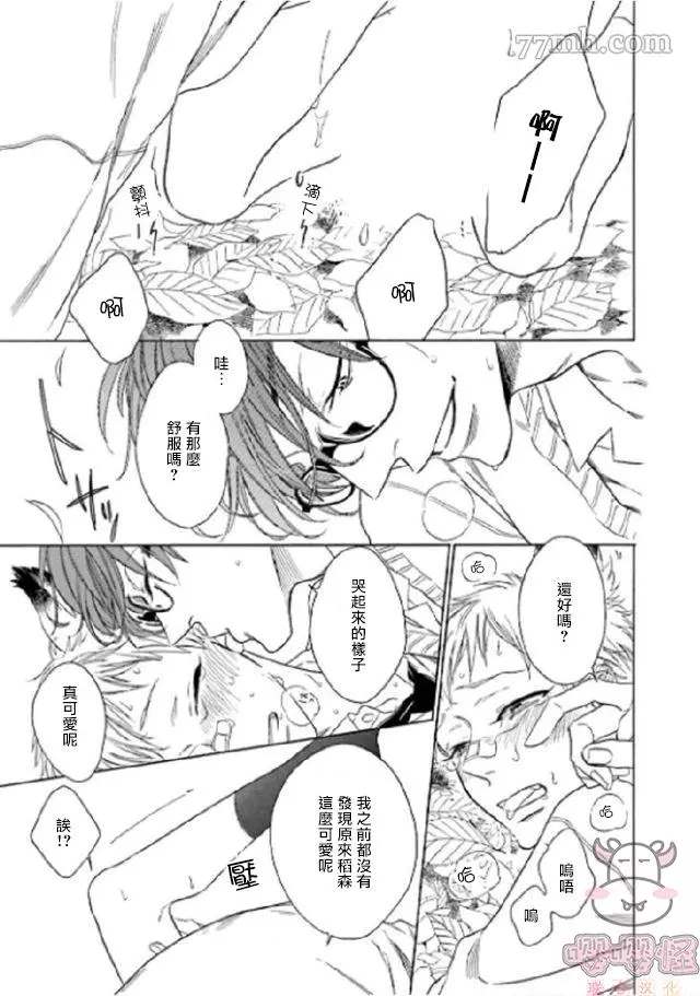 第30页